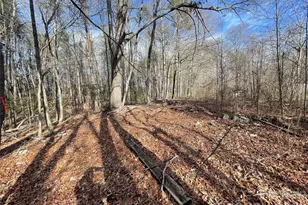 218 Max Metcalf Rd, Swannanoa, NC 28778 - Photo 1