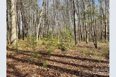 220 Max Metcalf Road, Swannanoa, NC 28778 - Photo 7