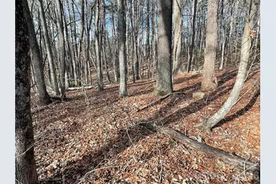 220 Max Metcalf Road, Swannanoa, NC 28778 - Photo 1