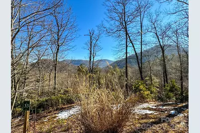 000 Silverglen Way #33, Hendersonville, NC 28792 - Photo 1