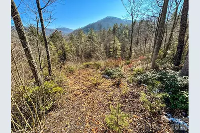 000 Silverglen Way #33, Hendersonville, NC 28792 - Photo 11