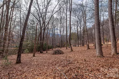 1345 Country Club Drive, Canton, NC 28716 - Photo 3