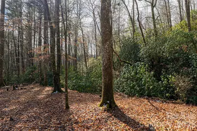 19 Forge Drive, Mills River, NC 28759 - Photo 29