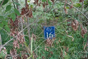 0000 High Peak Dr, Burnsville, NC 28740 - Photo 7