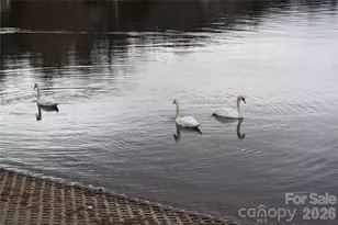 61 White Dogwood Ln, Lake Junaluska, NC 28745 - Photo 41