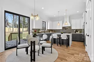 16311 Riverpointe Dr, Charlotte, NC 28278 - Photo 3
