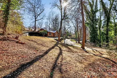 110 Pine Street, Tryon, NC 28782 - Photo 3