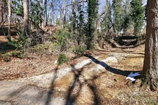 110 Pine St, Tryon, NC 28782 - Photo 7