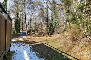 110 Pine St, Tryon, NC 28782 - Photo 11