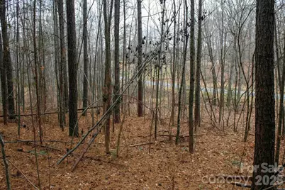 3727 Mt Beulah Road, Sherrills Ford, NC 28673 - Photo 9