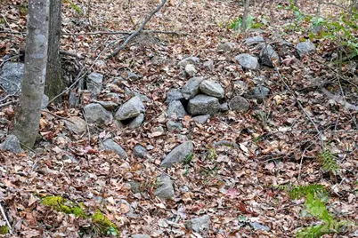 3727 Mt Beulah Road, Sherrills Ford, NC 28673 - Photo 7