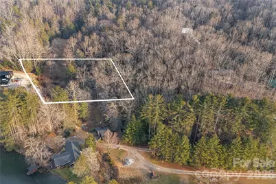 0000 Red Eft Way, Horse Shoe, NC 28742 - Photo 5