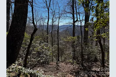 Tbd Acacia Court #936, Black Mountain, NC 28711 - Photo 7