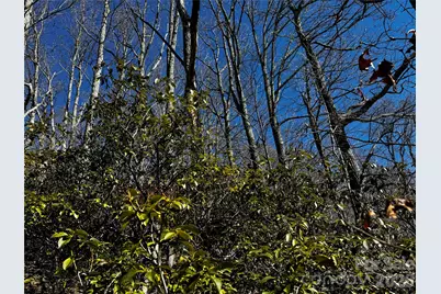 Tbd Acacia Court #936, Black Mountain, NC 28711 - Photo 15