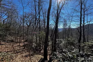 Tbd Acacia Ct, Black Mountain, NC 28711 - Photo 1