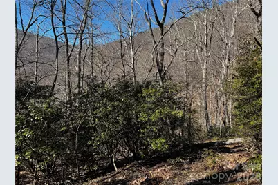 Tbd Acacia Court #936, Black Mountain, NC 28711 - Photo 19