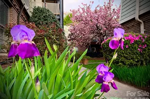 2626 Park Rd, Charlotte, NC 28209 - Photo 23