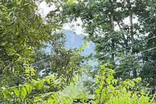 114 Rustic Hills Cir, Bessemer City, NC 28016 - Photo 47