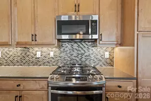 495 Granite Lake Ct, Denver, NC 28037 - Photo 15