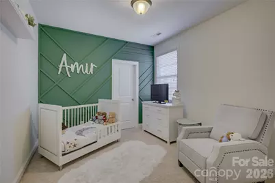 17013 Luvera Lane, Charlotte, NC 28278 - Photo 31