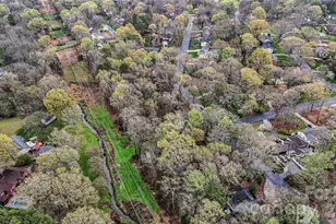 901 Shady Bluff Dr, Charlotte, NC 28211 - Photo 39