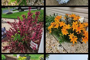 567 Sunledge Terrace, York, SC 29745 - Photo 31