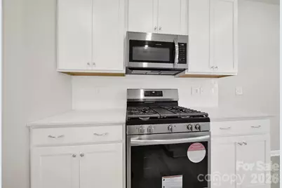 8027 Scarlet Maple Lane, Fort Mill, SC 29708 - Photo 7