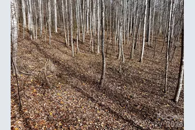 770 Somersby Parkway, Hendersonville, NC 28739 - Photo 11