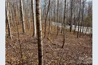 770 Somersby Parkway, Hendersonville, NC 28739 - Photo 5