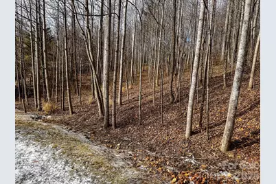 770 Somersby Parkway, Hendersonville, NC 28739 - Photo 21