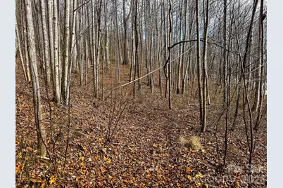 770 Somersby Parkway, Hendersonville, NC 28739 - Photo 13