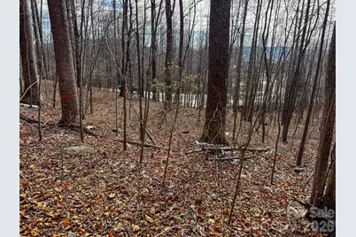 770 Somersby Parkway, Hendersonville, NC 28739 - Photo 19