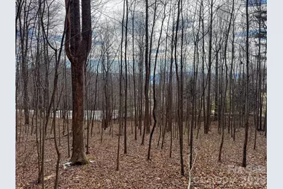 770 Somersby Parkway, Hendersonville, NC 28739 - Photo 1