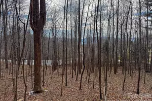 770 Somersby Pkwy, Hendersonville, NC 28739 - Photo 1