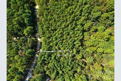 00-00 Deer Trail #LOT 39, Raeford Township, NC 28376 - Photo 3