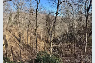 42 Asa Gray Drive, Lake Lure, NC 28720 - Photo 5