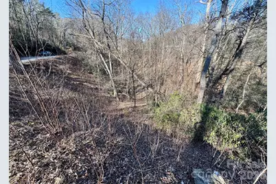 42 Asa Gray Drive, Lake Lure, NC 28720 - Photo 3