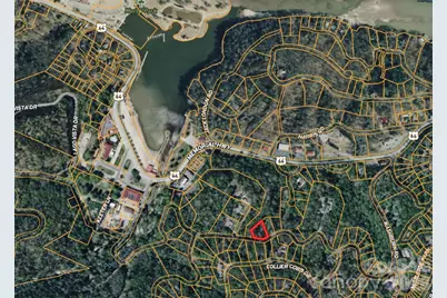 42 Asa Gray Drive, Lake Lure, NC 28720 - Photo 7