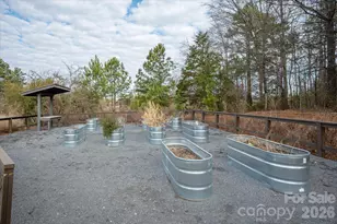 604 Hops Aly, Fort Mill, SC 29715 - Photo 47