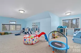 17 Moser Sedge Ct, Biltmore Lake, NC 28715 - Photo 29