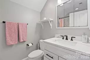 17 Moser Sedge Ct, Biltmore Lake, NC 28715 - Photo 27