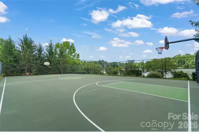 17 Moser Sedge Court, Biltmore Lake, NC 28715 - Photo 39