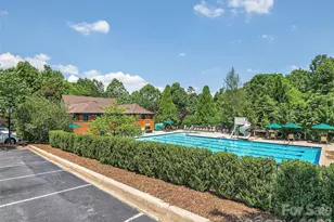 906 Woodvine Rd, Asheville, NC 28803 - Photo 45