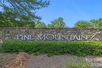 5545 Pine Ridge Drive, Connelly Springs, NC 28612 - Photo 33