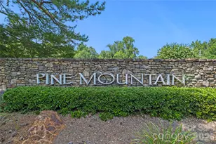 5545 Pine Ridge Dr, Connelly Springs, NC 28612 - Photo 33