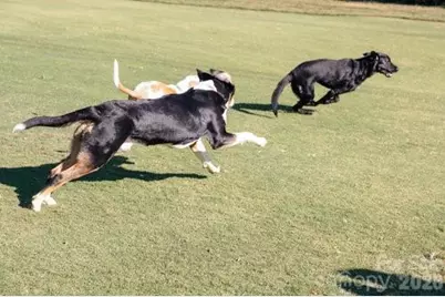 36 Fairway Ridge, Lake Wylie, SC 29710 - Photo 45