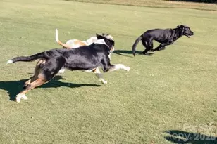 36 Fairway Ridge, Lake Wylie, SC 29710 - Photo 45