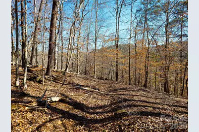 Tbd Rondo Ridge Road, Tryon, NC 28782 - Photo 13