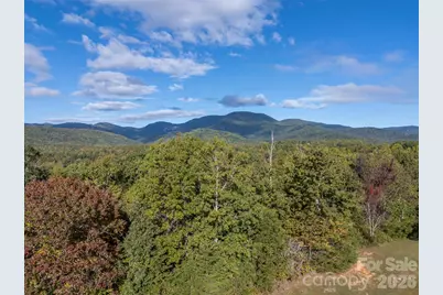 100 Pardo Road, Landrum, SC 29356 - Photo 7