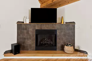 342 Old Haw Creek Rd, Asheville, NC 28805 - Photo 17